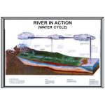RRC-02 RIVER IN ACTION